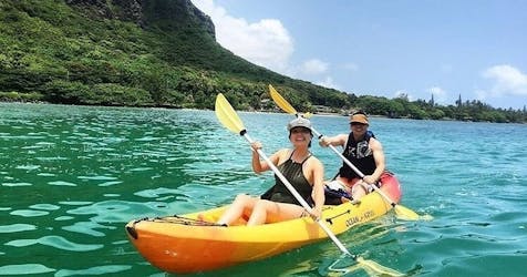Rainforest self-guided kayak tour